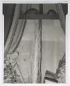 [Window with shells and plants]