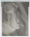 [Small Sculpture]