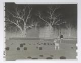 Brett Weston in cemetery