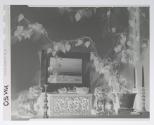 Still life - elaborate chest, vine above