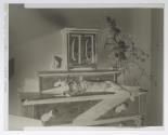 [Cat laying on a dresser in the sun]