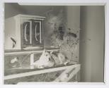 [Cat laying on a dresser in the sun]