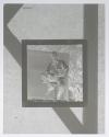 [Edward Weston]