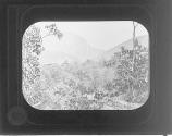Delaware Water Gap from Cliff