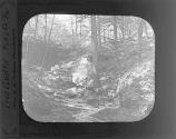 Irish Grotto, Pike Co., PA
