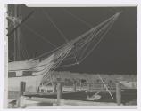 [Bow of Charles W. Morgan Whaling Boat, Mystic, Connecticut]