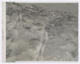 [Wet rock and sand]