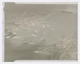 [Frozen lake]