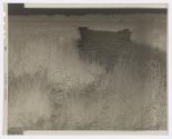 [Marsh]