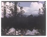 [Water and mountains behind trees]