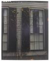 [Trees by black and white windows]