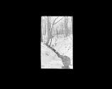 Snow Scene