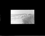Among the Dunes