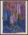 Delphiniums at an Exhibition in Ridgefield, Connecticut