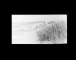 Among the Dunes