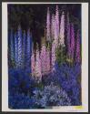 Delphiniums at an Exhibition in Ridgefield, Connecticut