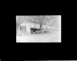 Old Shed