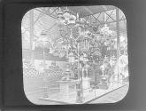 Neumann's Lantern Exhibit MB