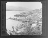 A Fishing Fleet, Ketchikan, Alaska