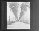A French highway, Champignole