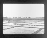 A Salt works in Brittany