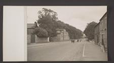 [Cows being herded down the middle of a wide street]