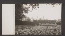 [Steam engine pulling four passenger cars]