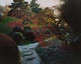 [Untitled]