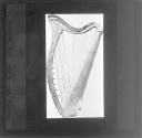 Moore Harp