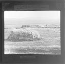 Moorland
