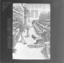 Electrical Distribution Plant