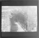 Cloisters Sligo Abbey