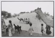 On the road with Jogi friends, somewhere in Bikaner.
