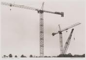 Cranes, Houston