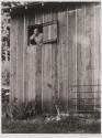 Edward Weston, Carmel, CA
