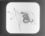 Yellow Rattlesnake Flag