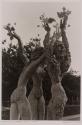 Rodin Museum and Garden
