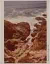 Point Lobos Seacliffs