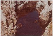 Tidal Pool, Point Lobos
