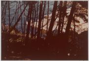 Point Lobos, Yankee Point