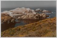 Point Lobos
