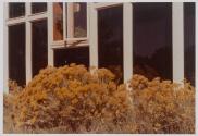 [Chamisa, Beaumont and Christi Newhall's home in Santa Fe]