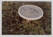 [Birdbath]