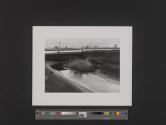Standard Chlorine, Kearny