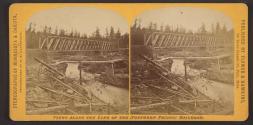 [Railroad bridge, foot bridge and fallen trees]