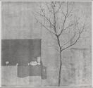 Tree and wall, Philadelphia