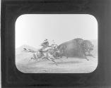 Buffalo Hunt. The Chase.