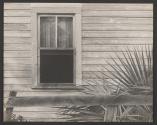 [Window of clapboard house, Philadelphia]