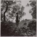 [Land surveyor]