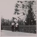 [Vincent Cappelleri, brother-in-law of the photographer, with Antonio and Anna Toscano]